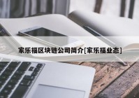 家乐福区块链公司简介[家乐福业态]